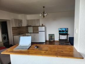 1 Bedroom Apartment - Vozdovac, Belgrade